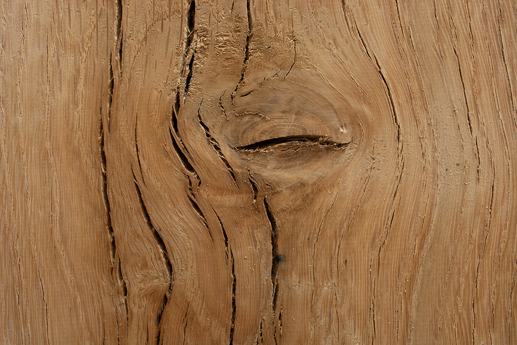 echantillon de bois